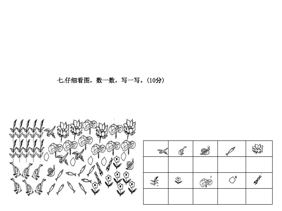 一年级上册数学.ppt_第1页
