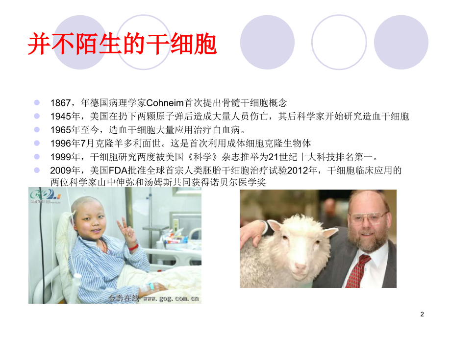 干细胞概述ppt课件.ppt_第2页