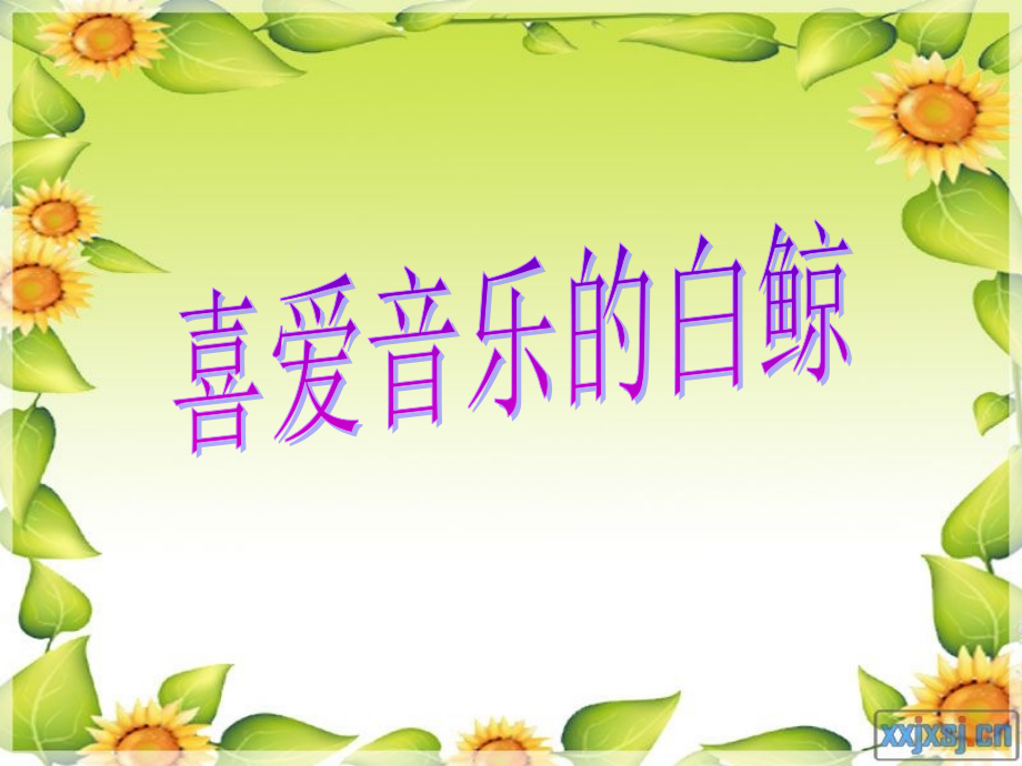 喜爱音乐的白鲸.ppt_第1页