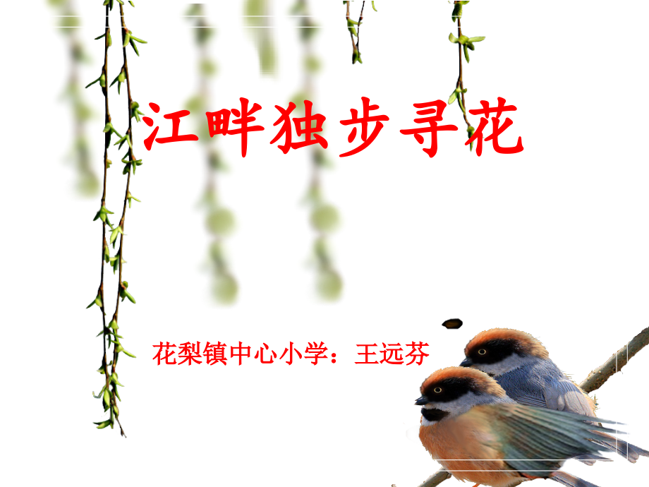 江畔独步寻花课件.ppt_第1页