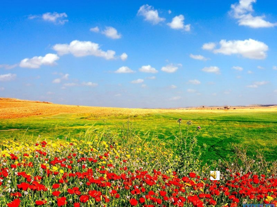 习作五植物的研究报告演示文稿.ppt_第2页