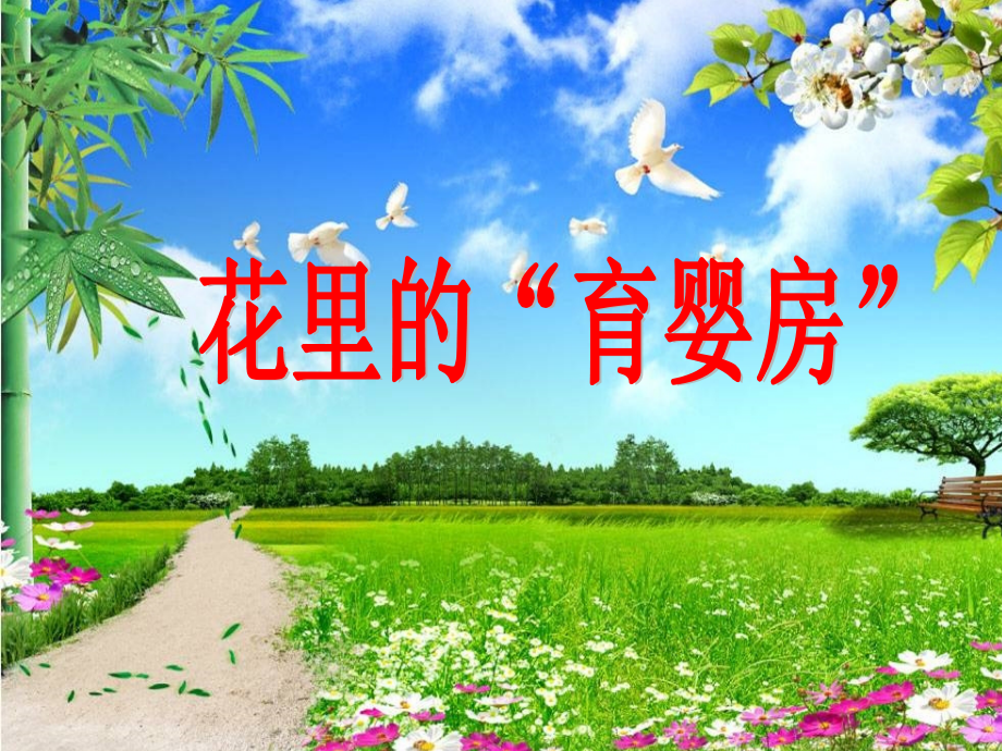 寻找花里的“育婴房”.ppt_第1页