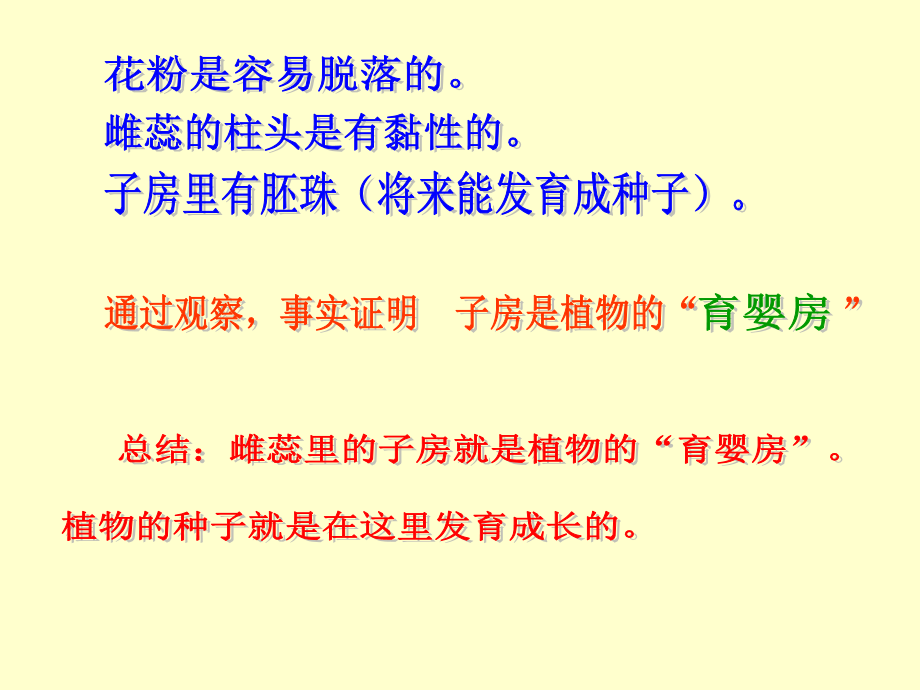 寻找花里的“育婴房”.ppt_第2页