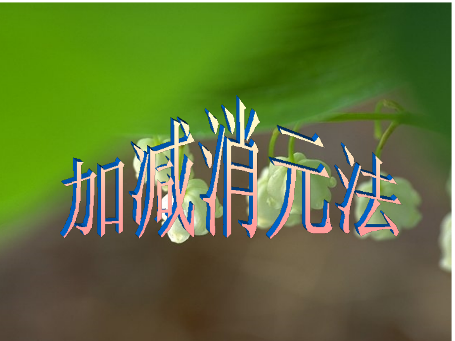 加减法解二元一次方程.ppt_第1页