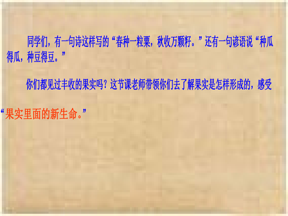 果实里的新生命.ppt_第2页