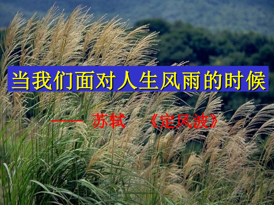 定风波优秀课件.ppt_第1页