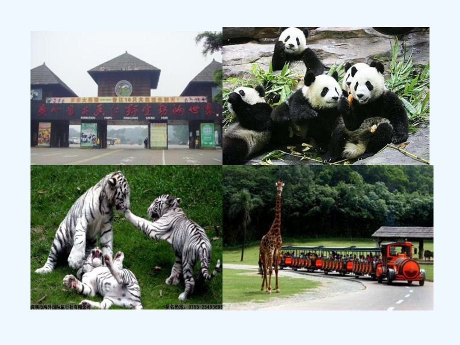 小学数学北师大三年级《时间与数学(一)》.ppt_第2页