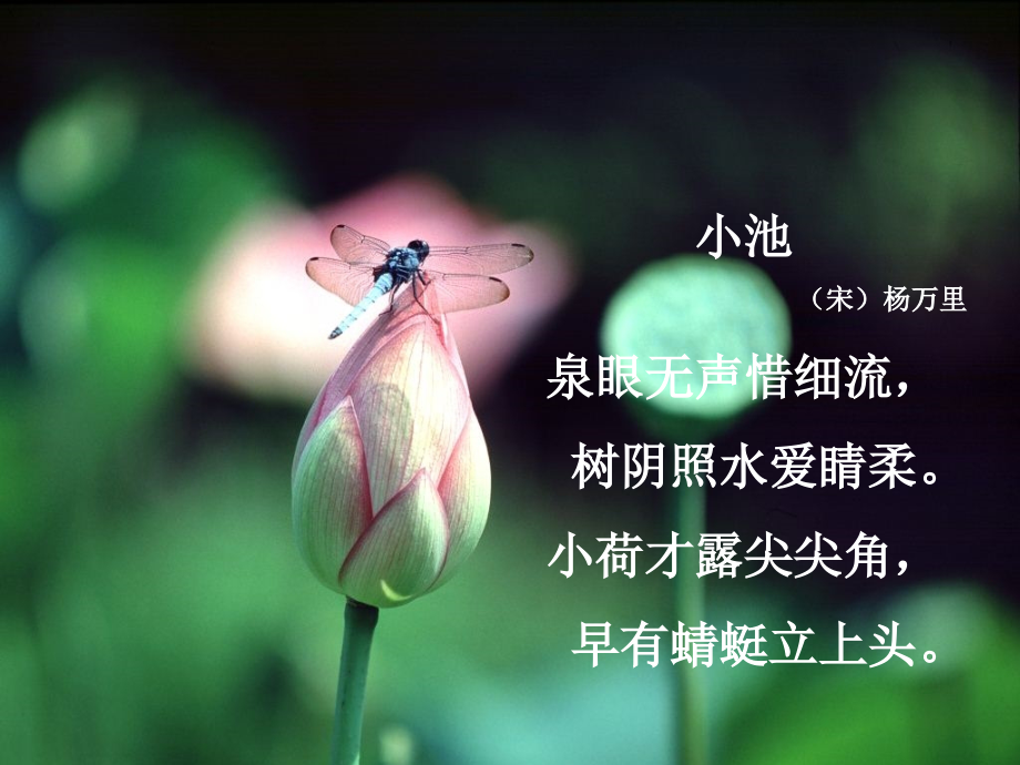 迷人的夏天.ppt_第2页