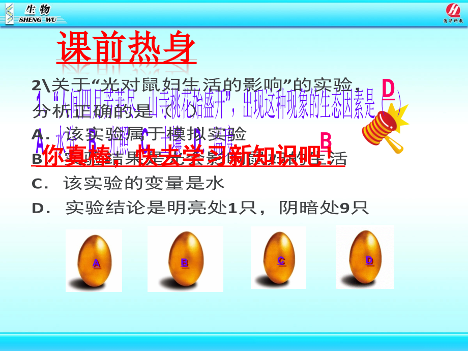 《生物与环境组成生态系统》课件-课优.ppt_第1页