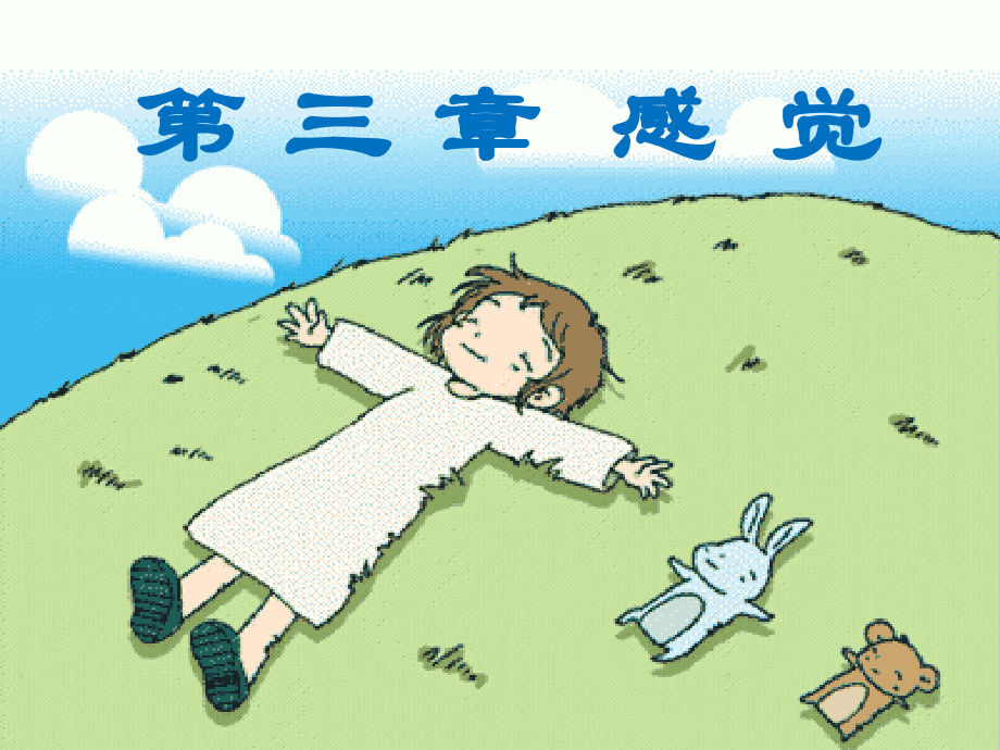 第三章_感觉.ppt_第1页