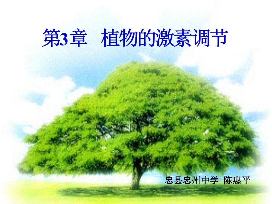 《植物的激素调节》.ppt_第1页