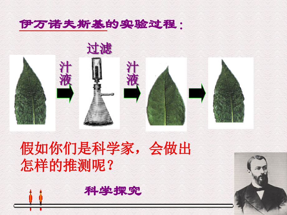 第二节病毒.ppt_第2页