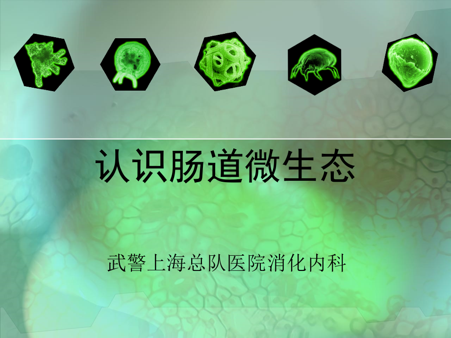 认识肠道微生态.ppt_第1页