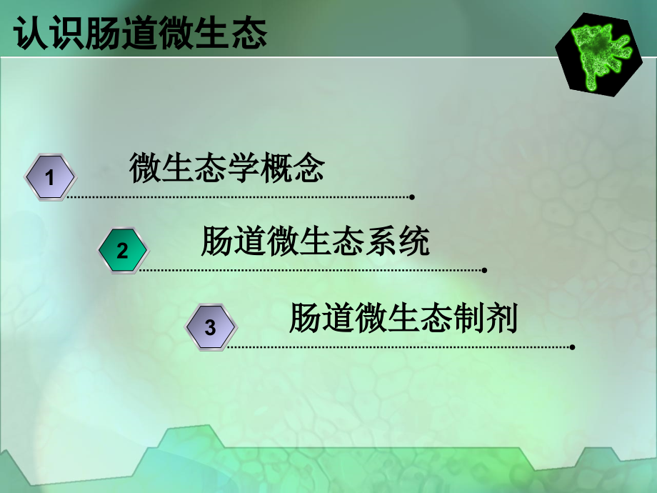 认识肠道微生态.ppt_第2页