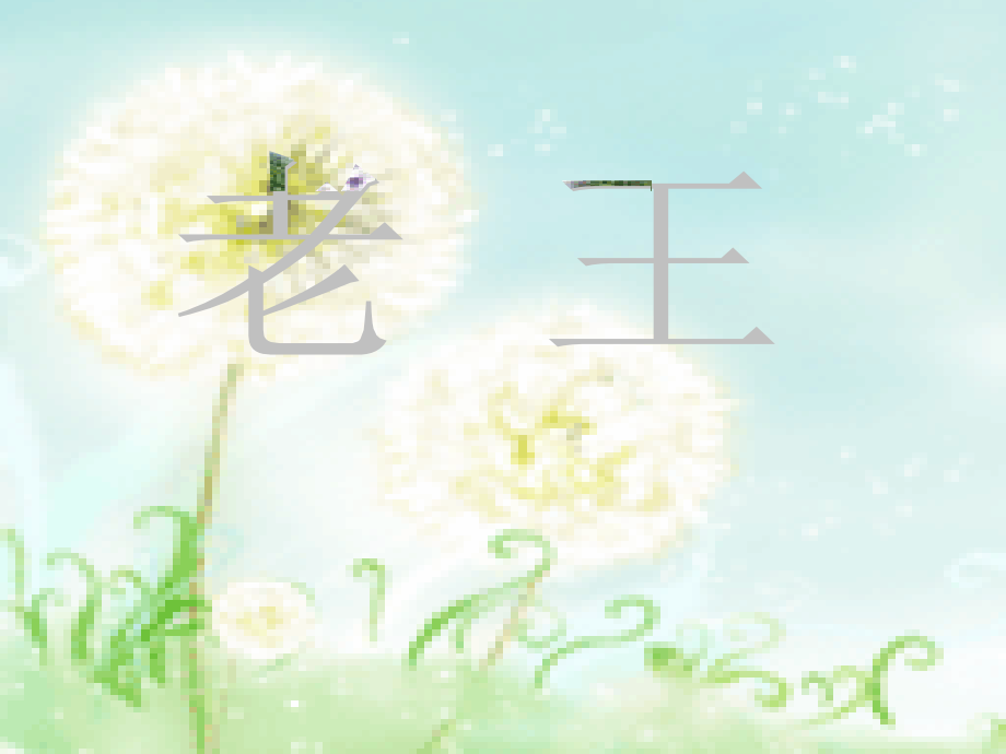 《老王》ppt-PPT课件.ppt_第1页