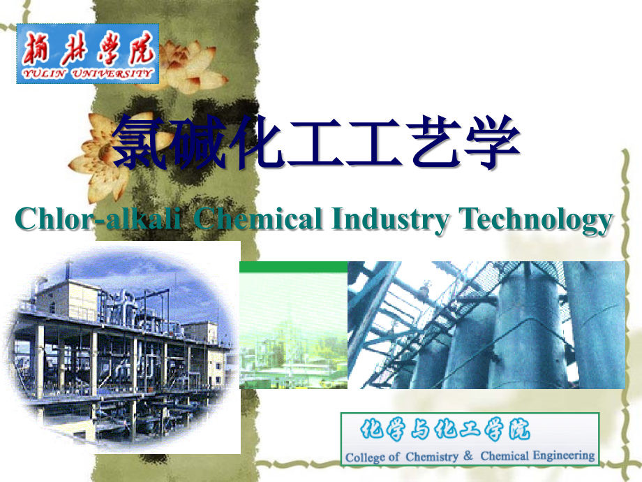 氯碱化工工艺.ppt_第1页