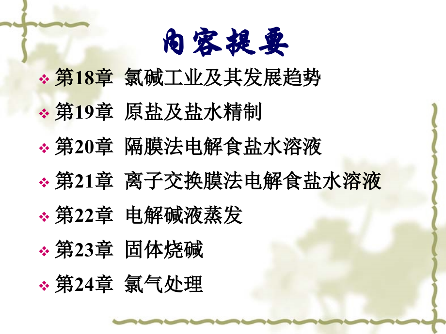 氯碱化工工艺.ppt_第2页
