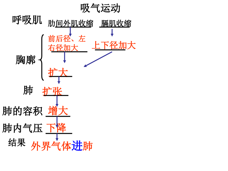 呼吸环节.ppt_第2页