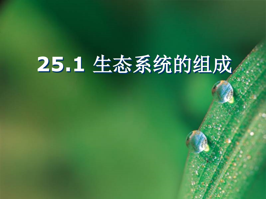 第一节生态系统的组成.ppt_第1页