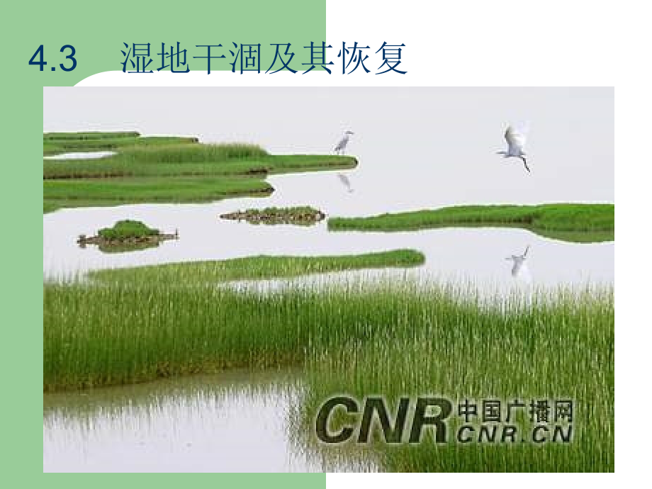 第三节　湿地干涸及其恢复.ppt_第1页