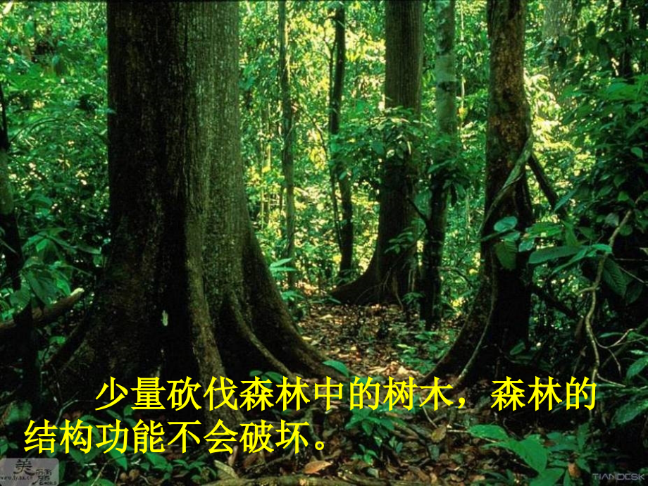 五生态系统的相对稳定性.ppt_第1页