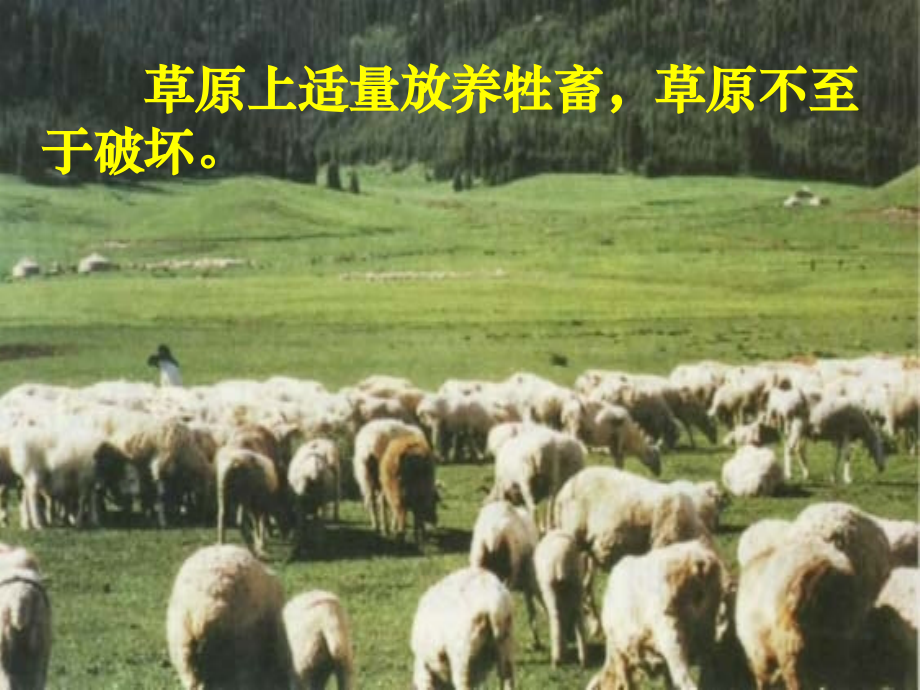 五生态系统的相对稳定性.ppt_第2页