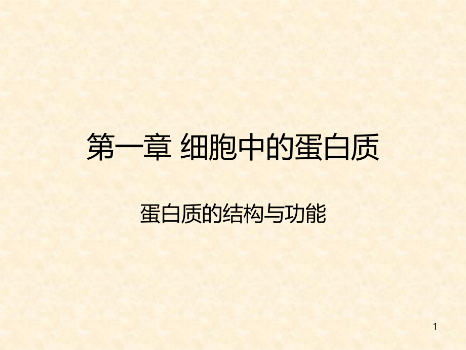 细胞中的蛋白质PPT课件.ppt_第1页