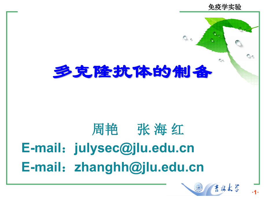 多克隆抗体制备—Elisa.ppt_第1页