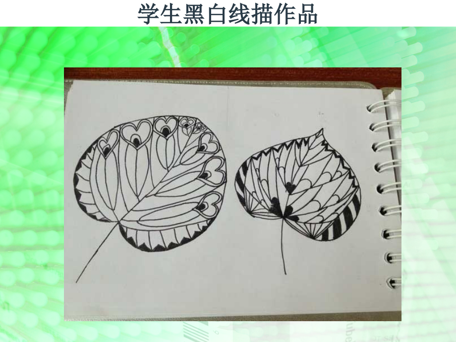 线描作品欣赏.ppt_第2页