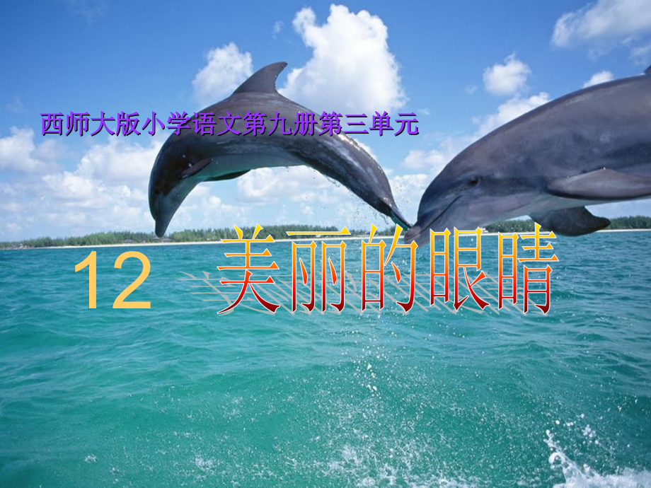 《美丽的眼睛》PP.ppt_第1页