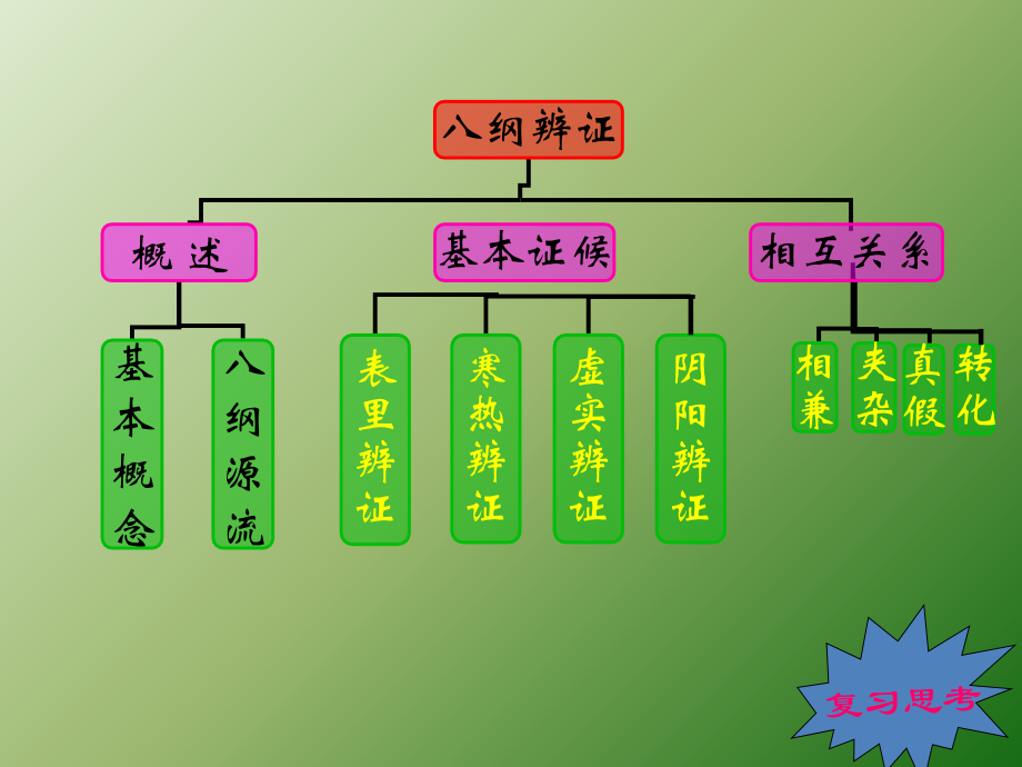 中医-八纲辨证.ppt_第2页