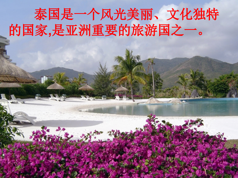 《与象共舞》ppt.ppt_第2页