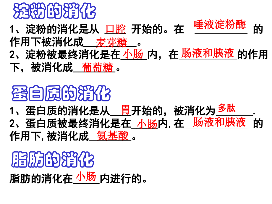 淀粉的消化是从.ppt_第1页