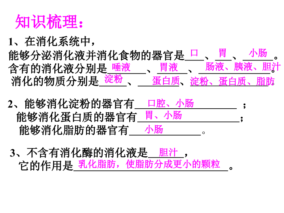淀粉的消化是从.ppt_第2页