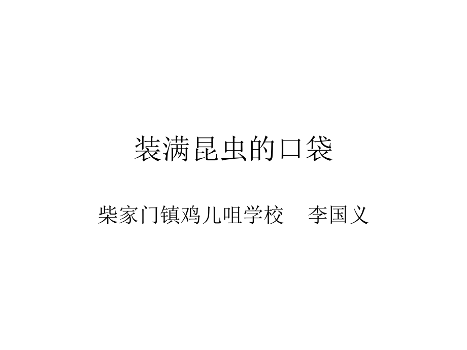 ③装满昆虫的口袋.ppt_第1页