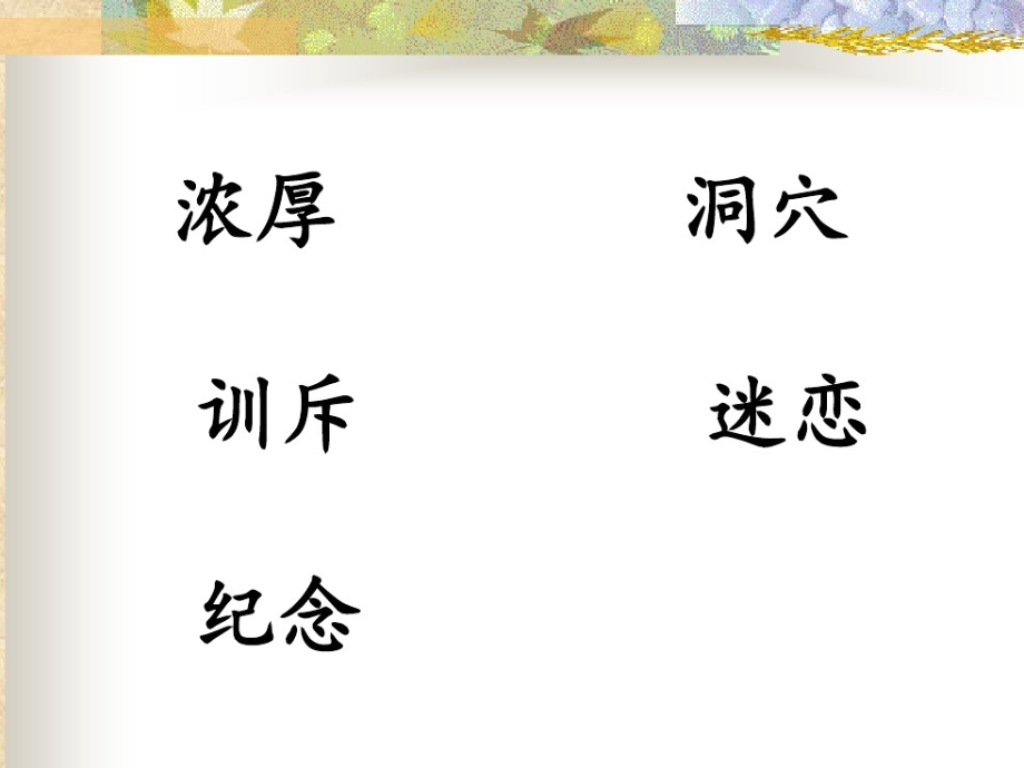 ③装满昆虫的口袋.ppt_第2页