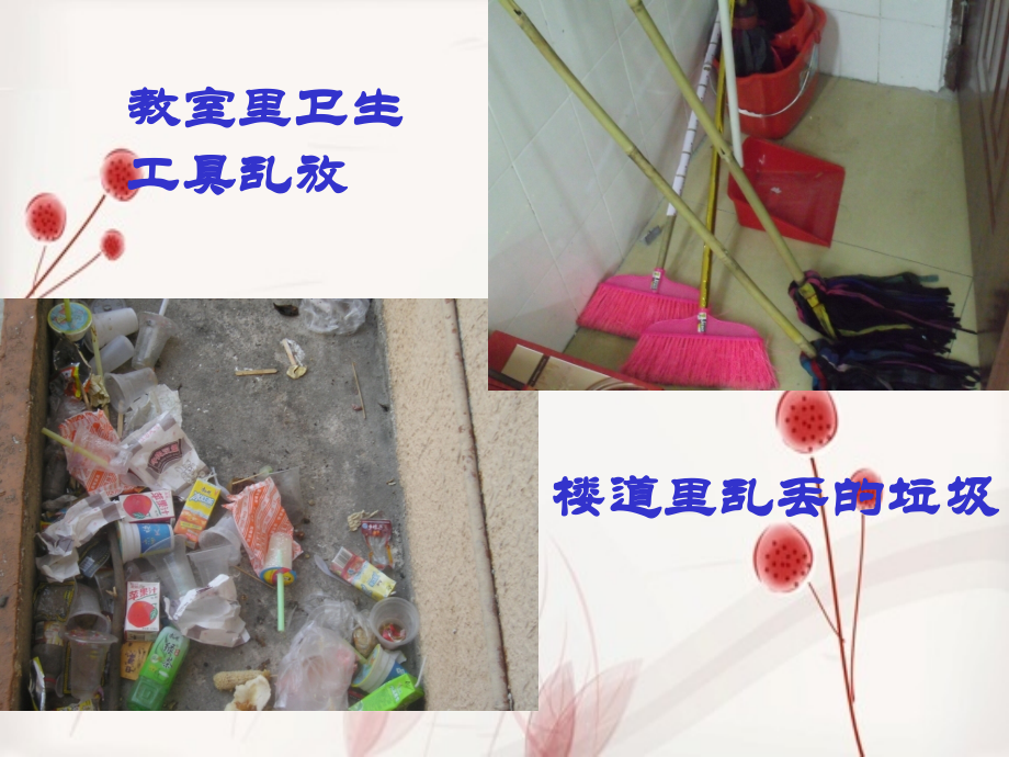 让社会投给我赞成票女女.ppt_第2页