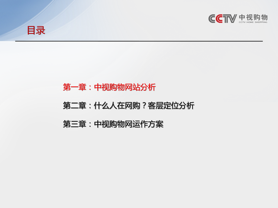 中视购物网可行性报告.pptx_第2页