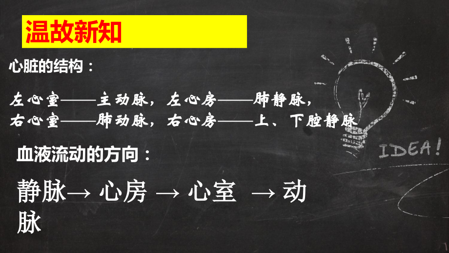 科学家的故事　血液循环的发现.pptx_第2页