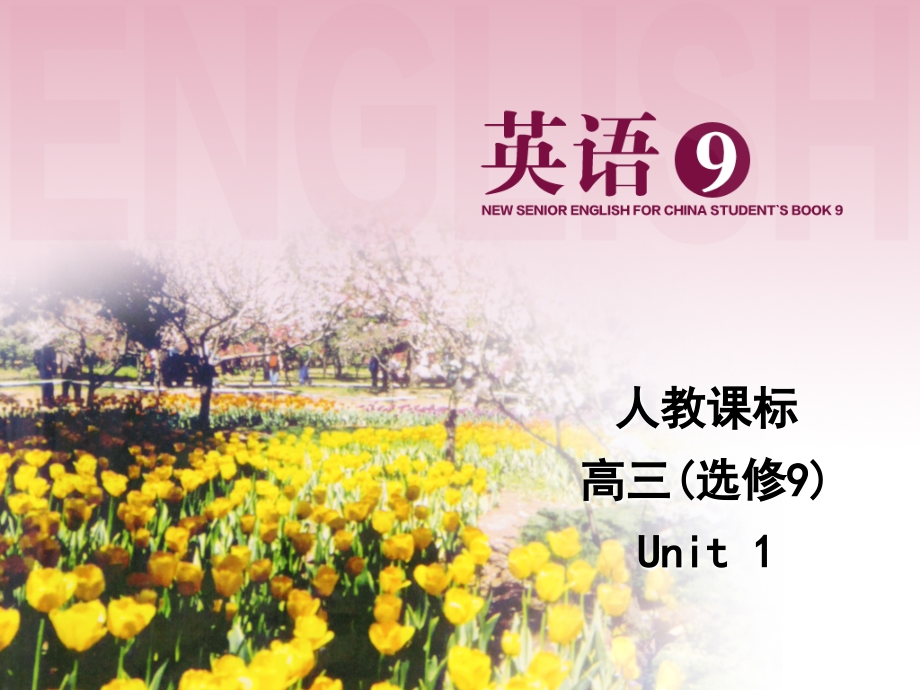 Learning-about-language.ppt_第1页