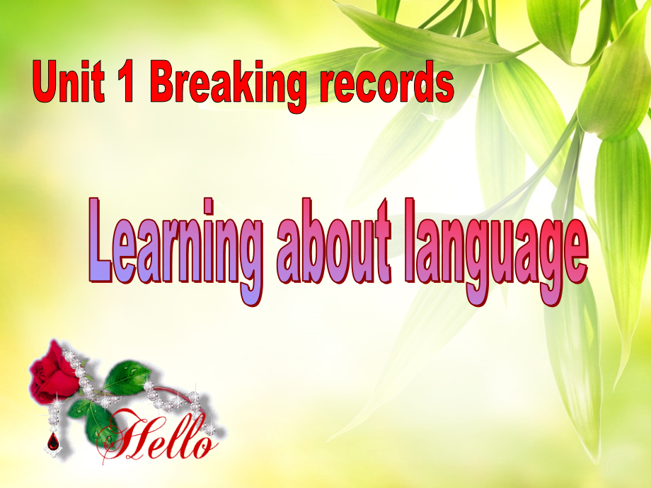 Learning-about-language.ppt_第2页