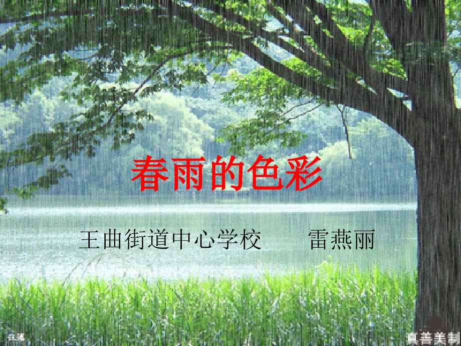 《春雨的色彩》说课课件.ppt_第1页