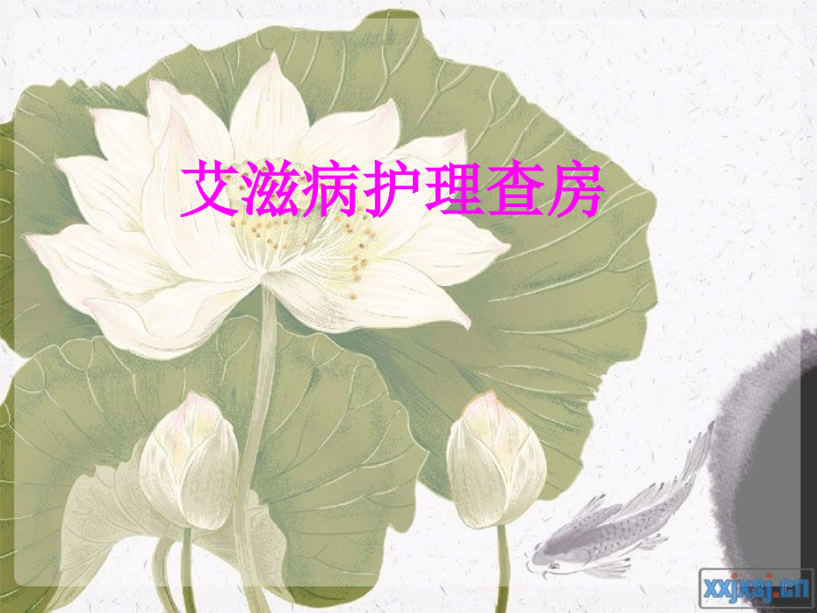 艾滋病患者护理查房.ppt_第1页