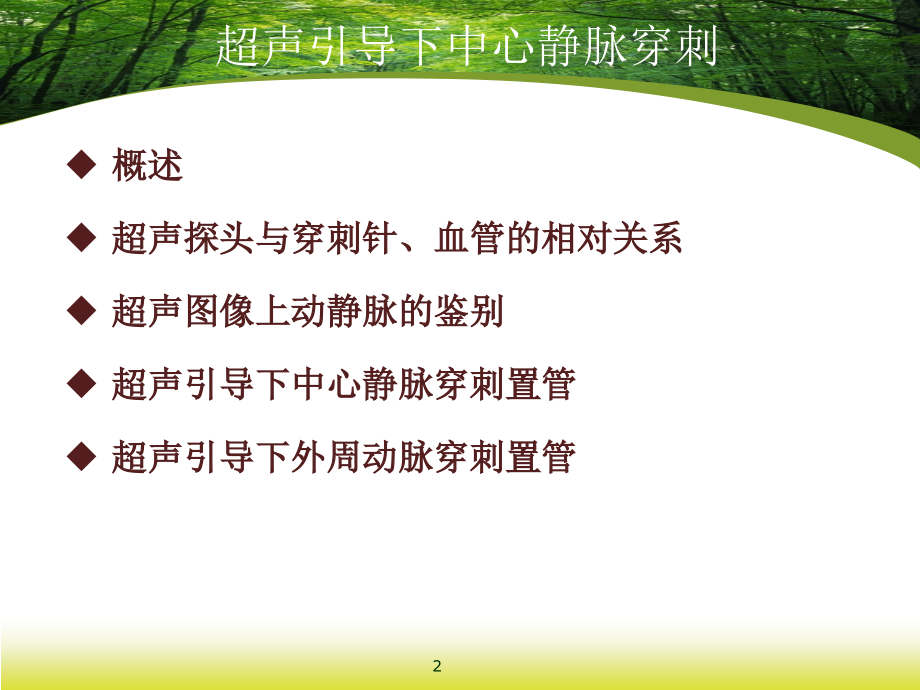 超声引导下中心静脉穿刺ppt课件.ppt_第2页