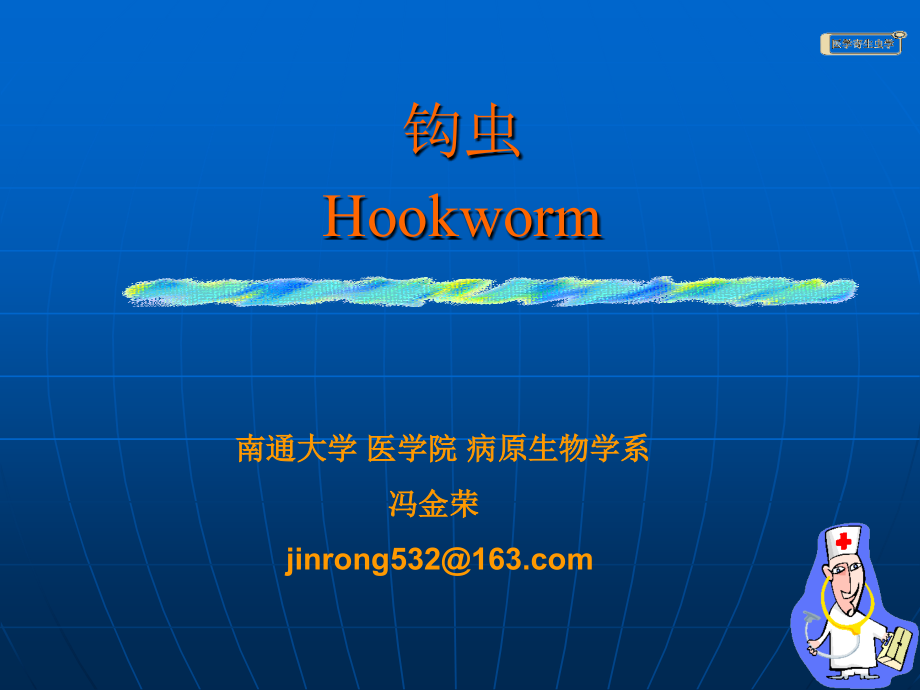 钩虫蛲虫(冯).ppt_第1页