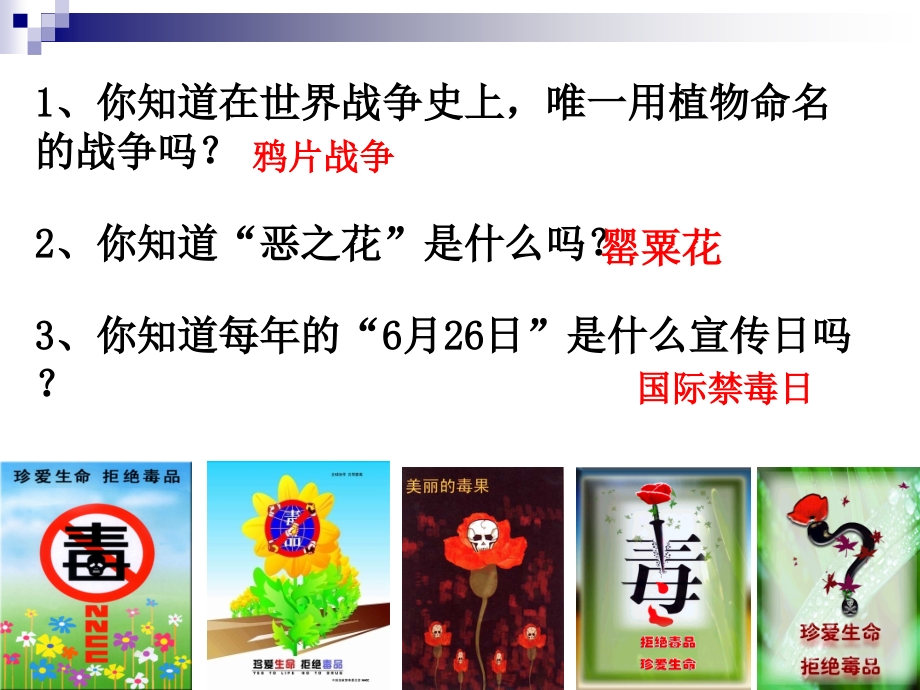 毒品知识ppt课件.ppt_第2页