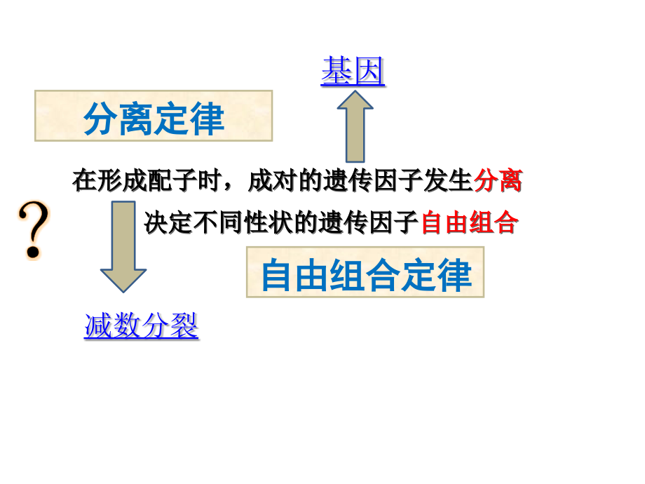 科学家访谈　我赞叹生命的美丽.pptx_第2页
