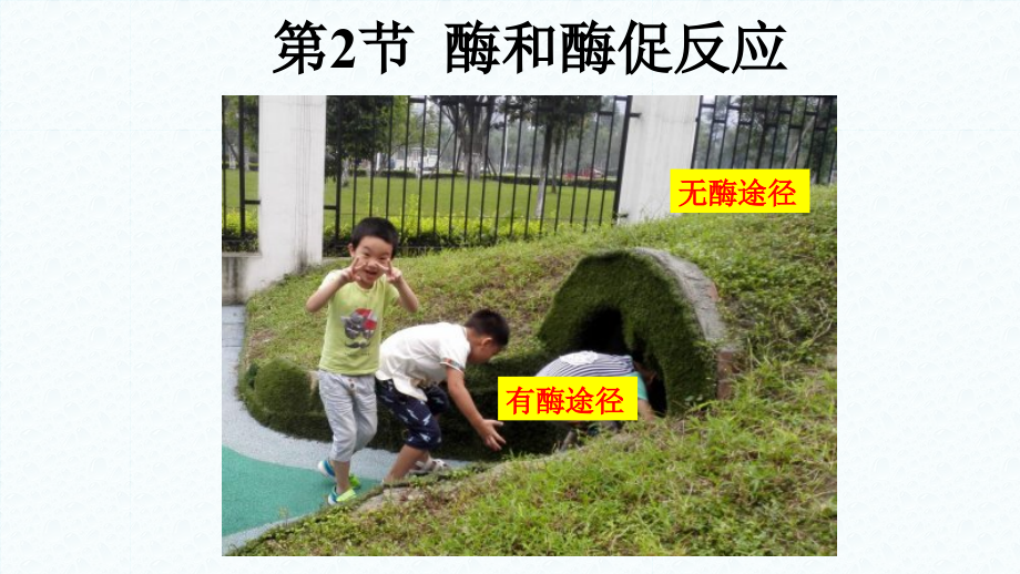 酶与酶促反应.pptx_第1页