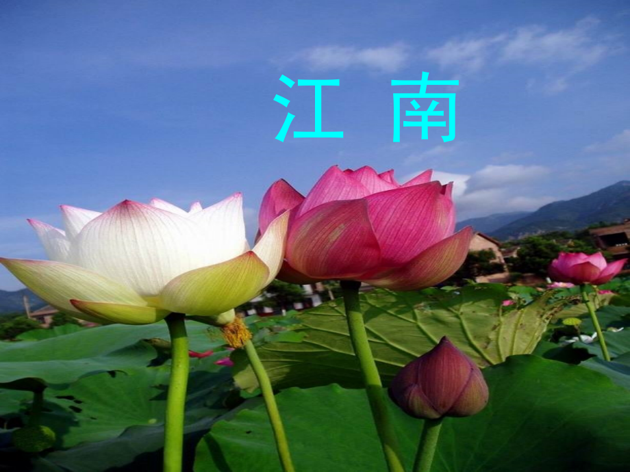 (部编)人教一年级上册第一学时.ppt_第1页