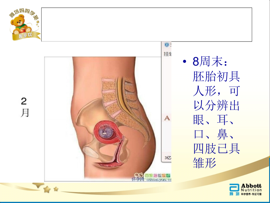 认识产程.ppt_第2页